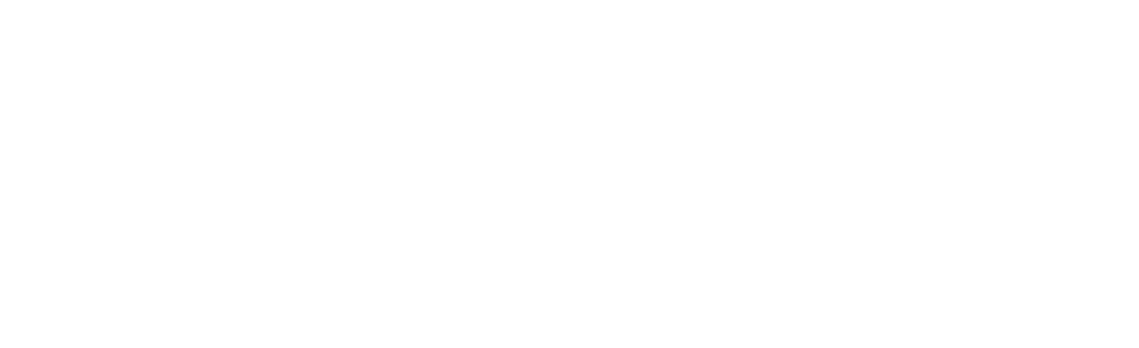 Micro Strategies